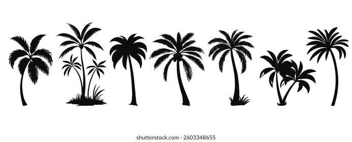 vector silhouette of plam tree set 
