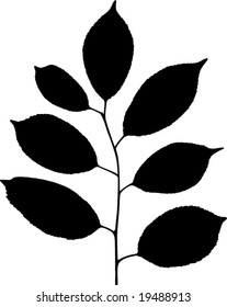 Silueta vectorial de planta sobre fondo blanco