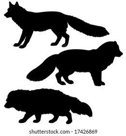 vector silhouette polar fox, badger, vixens isolated on white background