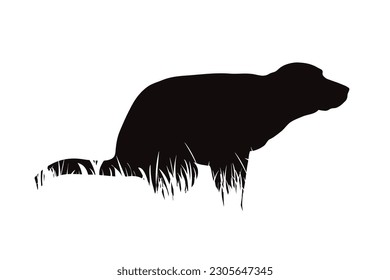 Vector silhouette of pooping dog in park. Symbol of pet.
