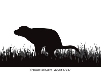 Vektorsilhouette von pooping Hund im Park. Symbol des Tieres.
