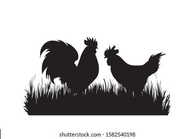 Vector silhouette of poultry in the grass on white background. Symbol of animal, hen, cock, bird, farm, nature, pasture.