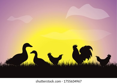 Vector silhouette of poultry in the grass at sunset. Symbol of farm.