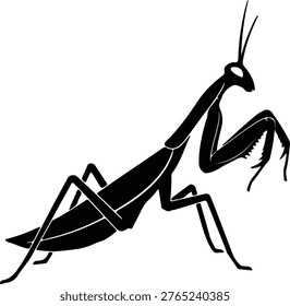 Vector silhouette of a praying mantis insect in profile view design
