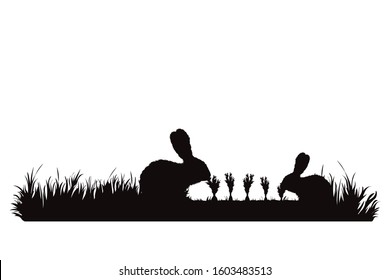 Vector silhouette of rabbit eat carrot on garden. Symbol of animal, field, farm, destroy, corp, pest.