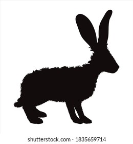 Vector silhouette of rabbit on white background. Symbol of forest animal and hare.