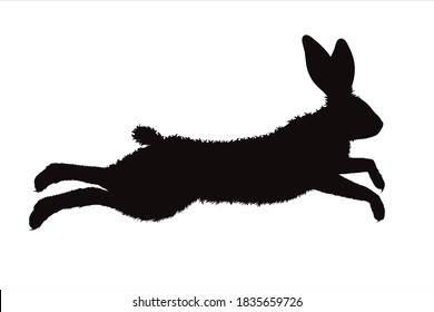 Vector silhouette of rabbit on white background. Symbol of forest animal and hare.
