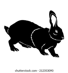 Vector silhouette. Rabbit on the white.