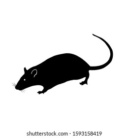 vector silhouette of the rat on white background. eps10