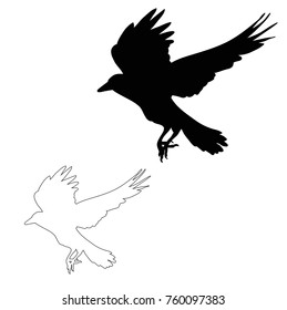 vector silhouette of the raven flies