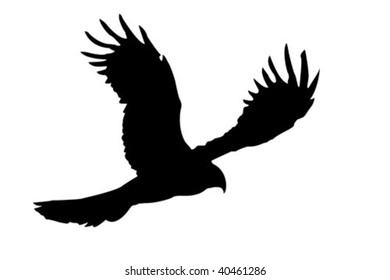 vector silhouette of the ravenous bird