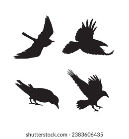 Vector silhouette ravens birds outline sxa