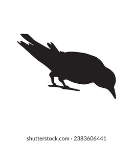 Vector silhouette ravens birds outline sxa