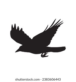 Vector silhouette ravens birds outline sxa