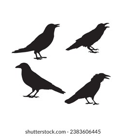 Vector silhouette ravens birds outline sxa