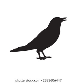 Vector silhouette ravens birds outline sxa