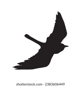 Vector silhouette ravens birds outline sxa