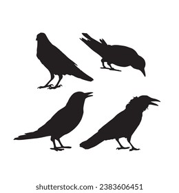 Vector silhouette ravens birds outline sxa