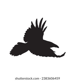 Vector silhouette ravens birds outline sxa