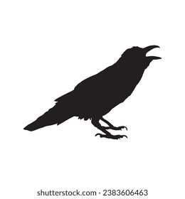 Vector silhouette ravens birds outline sxa