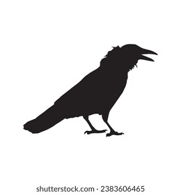 Vector silhouette ravens birds outline sxa