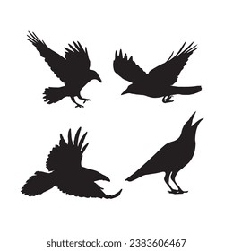 Vector silhouette ravens birds outline sxa