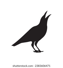 Vector silhouette ravens birds outline sxa