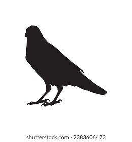 Vector silhouette ravens birds outline sxa