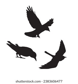 Vector silhouette ravens birds outline sxa