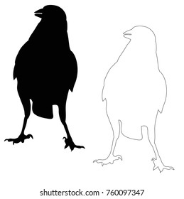 vector, silhouette ravens, birds outlines