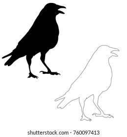 vector, silhouette ravens, birds outlines
