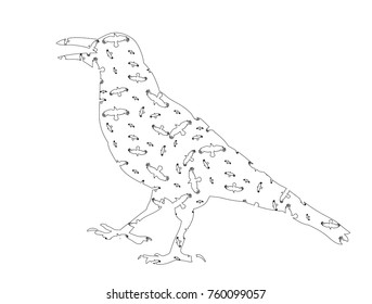 vector, silhouette ravens sketch, outlines
