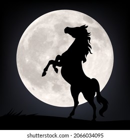 Vector silhouette of rearing horse on full moon background