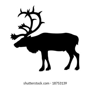 vector silhouette of the reindeer