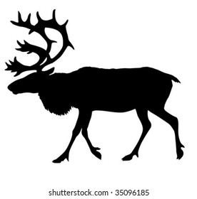 vector silhouette of the reindeer