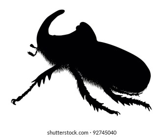 Vector silhouette of rhinoceros beetle