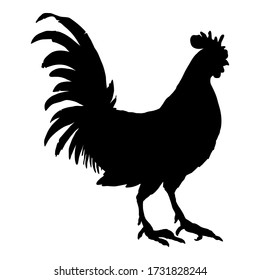 Vector Silhouette of Rooster. Black Poultry Icon