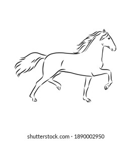 Vector silhouette of a running horse. beautiful horse vector sketch illustration