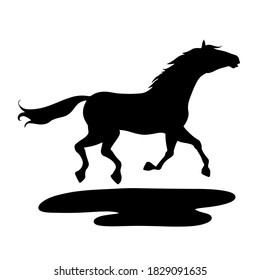 Vector silhouette. Running horse in contrast, silhouette black. Vector horse