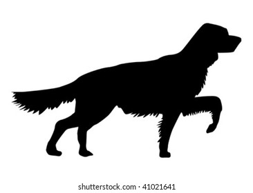 vector silhouette of the runninging dog on white background