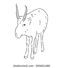 vector silhouette saiga on white background saiga animal vector