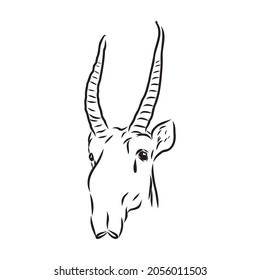 vector silhouette saiga on white background saiga animal vector