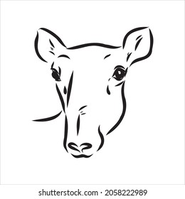 vector silhouette saiga on white background saiga animal vector