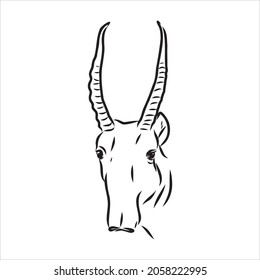 vector silhouette saiga on white background saiga animal vector
