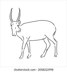 vector silhouette saiga on white background saiga animal vector