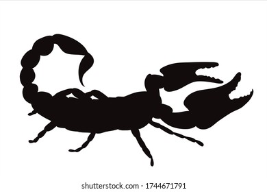 Silueta vectorial de escorpión sobre fondo blanco. Símbolo de animal.