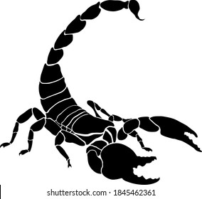 Silueta vectorial del escorpión sobre fondo blanco