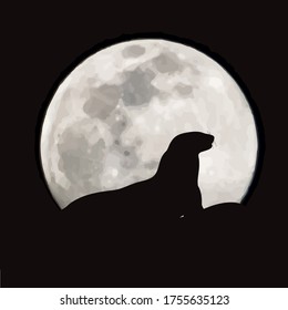Vector silhouette of sea lion on moon background. Symbol of night.