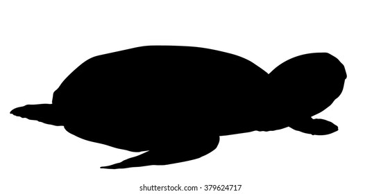 Vector silhouette of Sea Turtle,