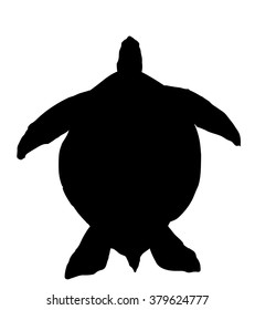 Vector silhouette of Sea Turtle.